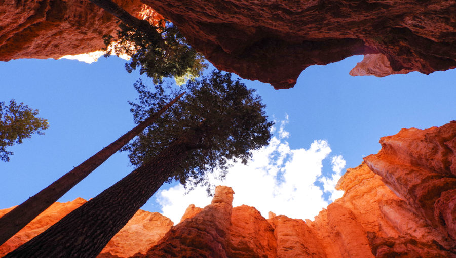 Visiter Bryce Canyon : Notre petit guide avec carte et conseil