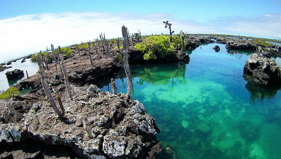 îles galapagos pas cher