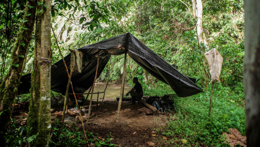 visiter l'Amazonie en Equateur