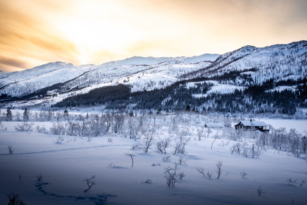 Paysage de Norvège l'hivers