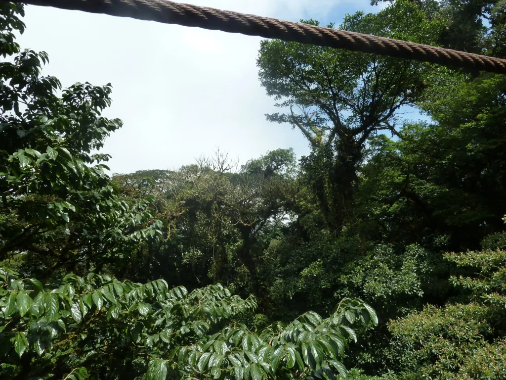 mont de monteverde