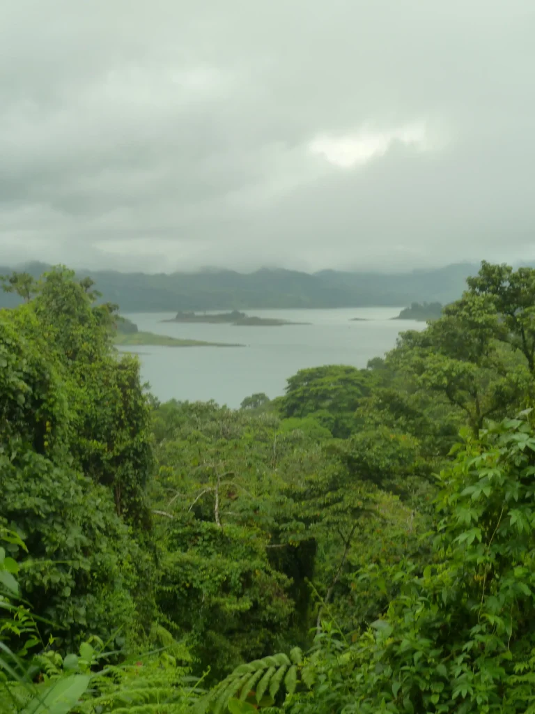 Parc arenal